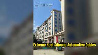 Dongguan Lianke Cable Technology Co., Ltd.'nin Fabrika Tanıtımı
