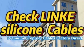 Dongguan Lianke Cable Tech: Profesyonel Silikon Kablo Ürün Tanıtımı