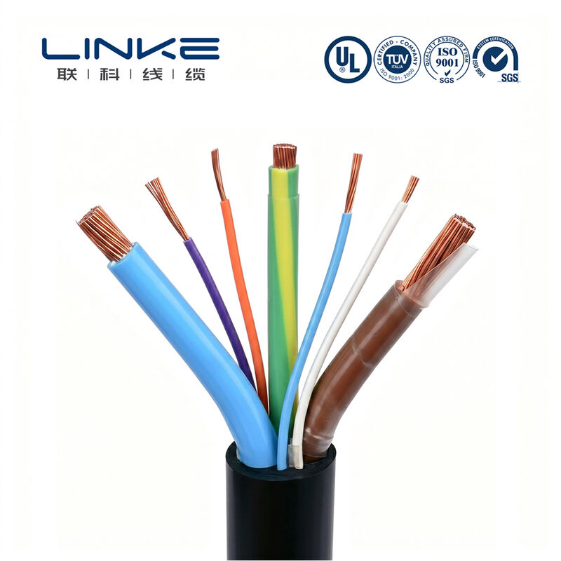 Elektrikli Araçlar İçin Özel Çok Çekirdekli 450/750/1000V Ağır Hizmet Tipi EV Şarj Kablosu