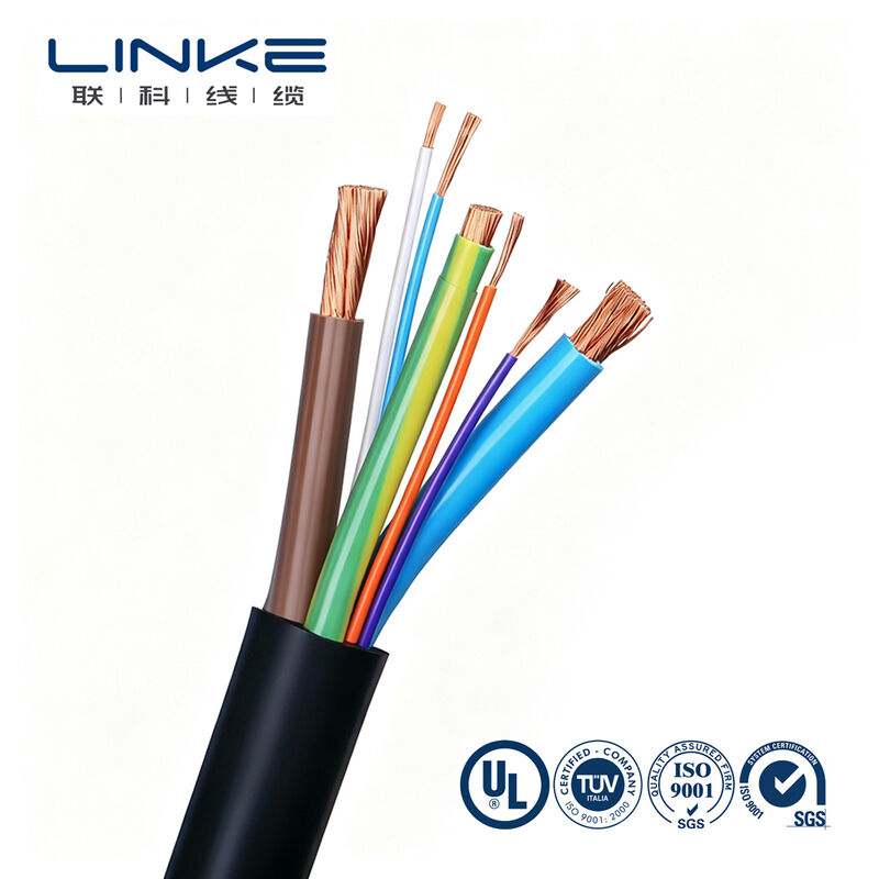 Elektrikli Araçlar İçin Özel Çok Çekirdekli 450/750/1000V Ağır Hizmet Tipi EV Şarj Kablosu